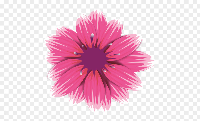 Gerbera Flower Pink Transvaal Daisy Petal Rose PNG
