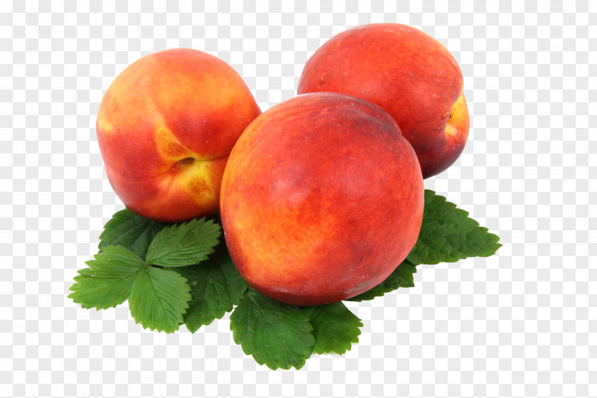 слива Peach Melba Juice Fruit Food PNG