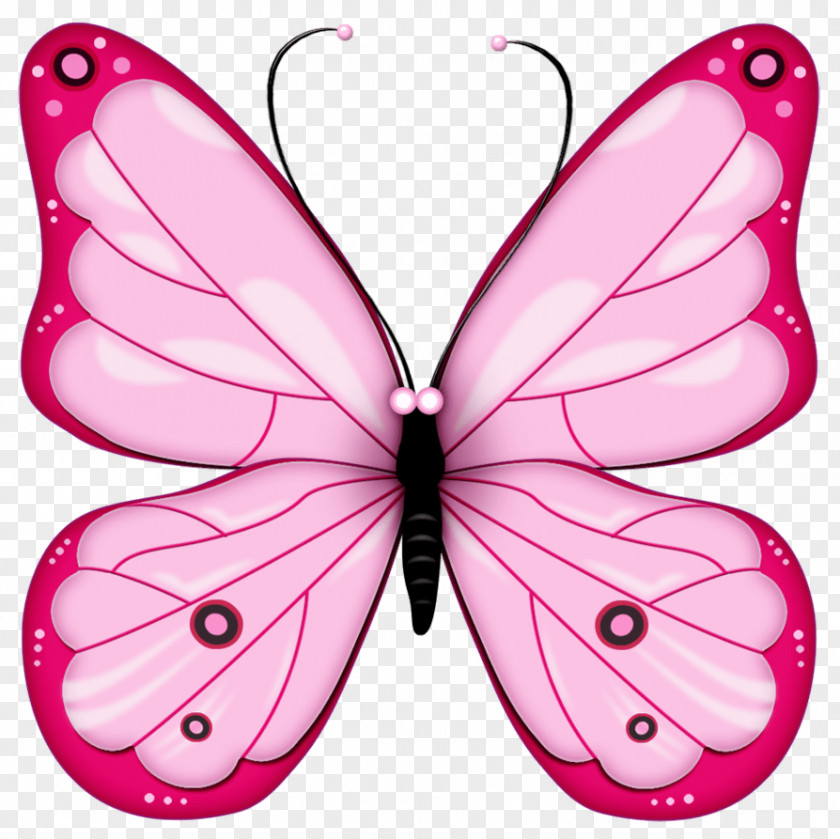 Pink Butterfly Image Butterflies Clip Art PNG