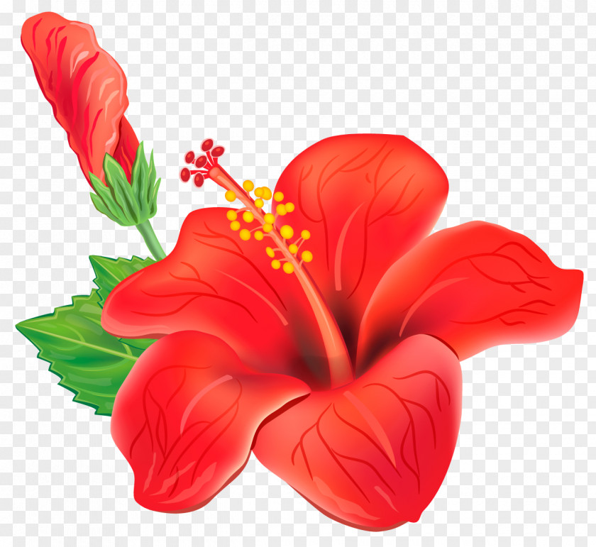 Red Exotic Flower Clipart Picture Clip Art PNG