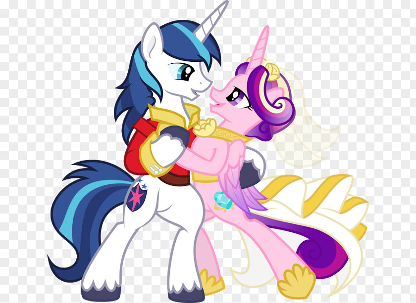 Season 6 Rainbow Dash Shining Armor HorseHorse My Little Pony: Friendship Is Magic PNG