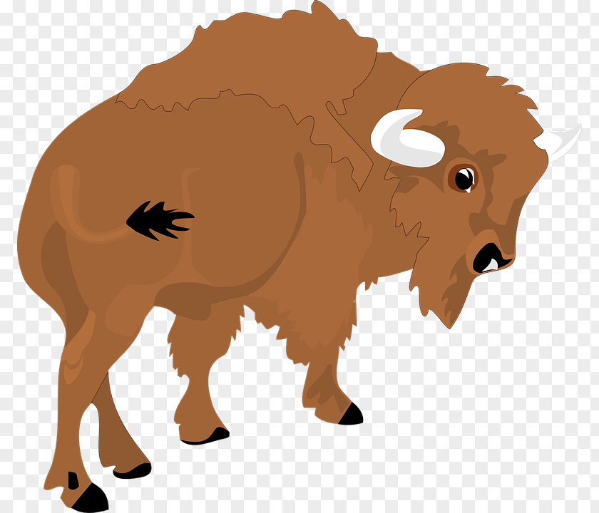 Buffalo American Bison Animal Hunting Clip Art PNG