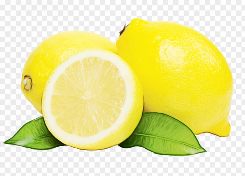Food Lemonlime Lemon Citrus Yellow Fruit Peel PNG