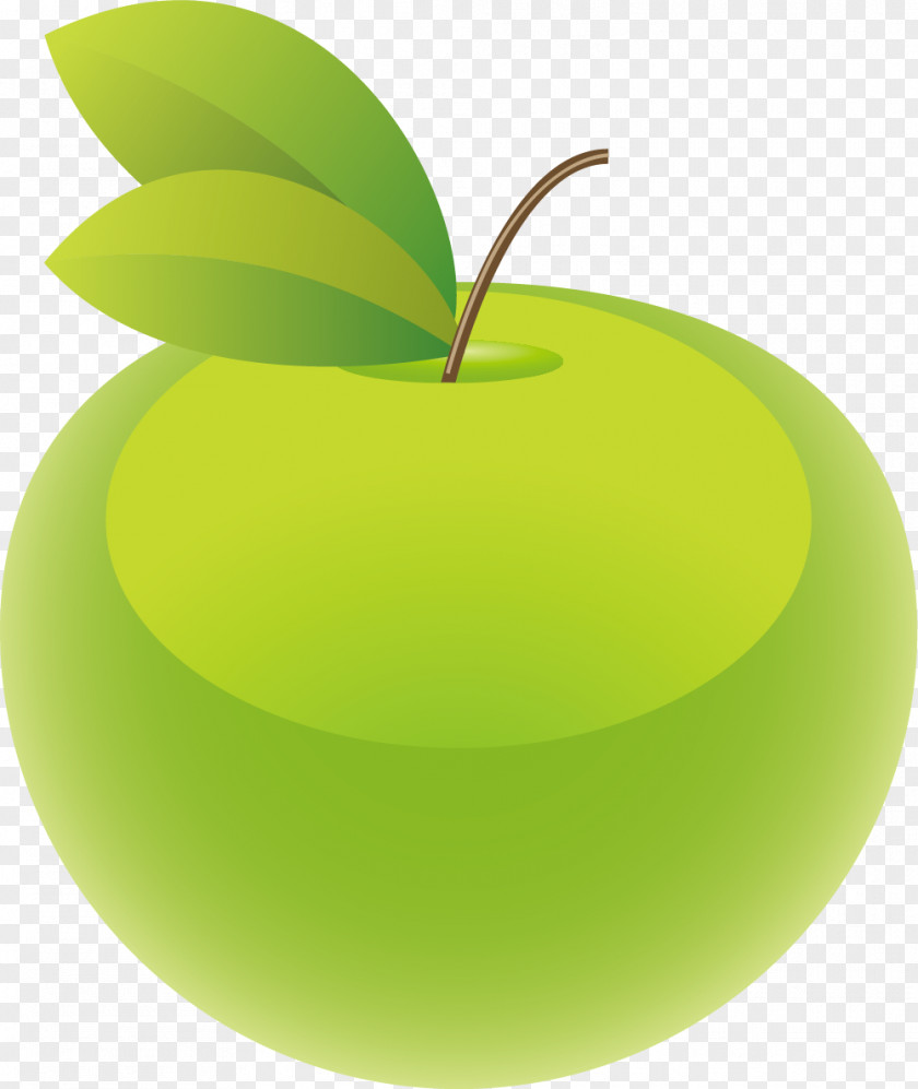 Hand Painted Green Apple Granny Smith PNG