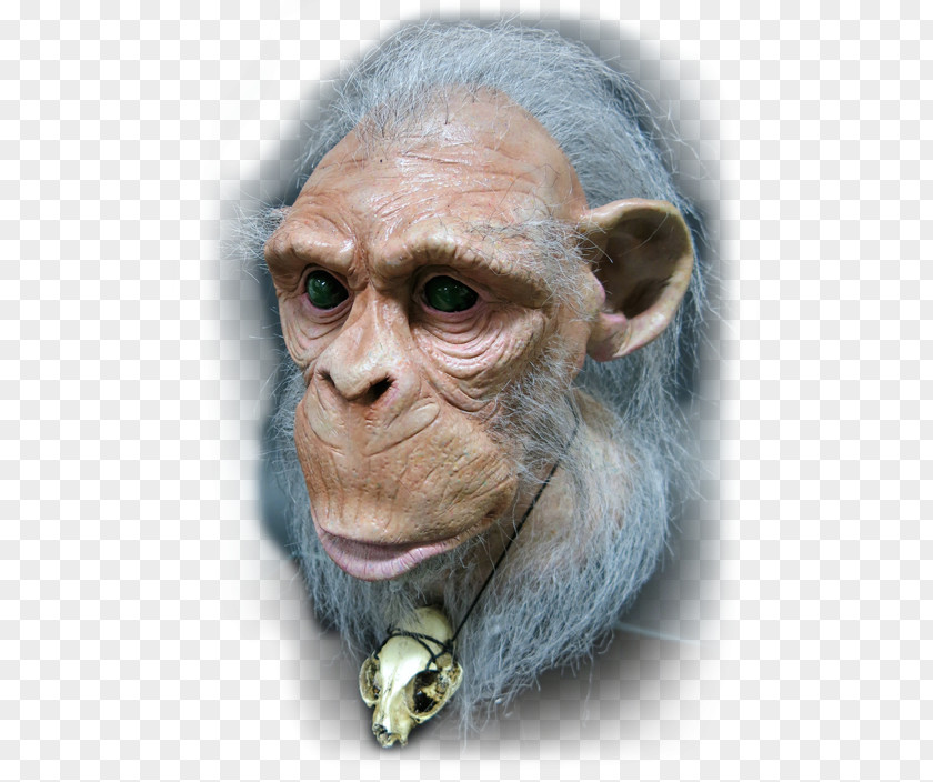 Koko Common Chimpanzee Homo Sapiens Puppet Monkey Animatronics PNG