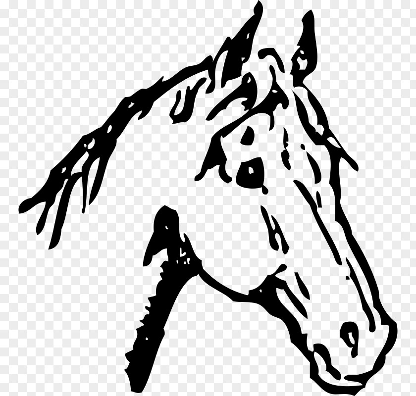 Mustang American Quarter Horse Black White Clip Art PNG