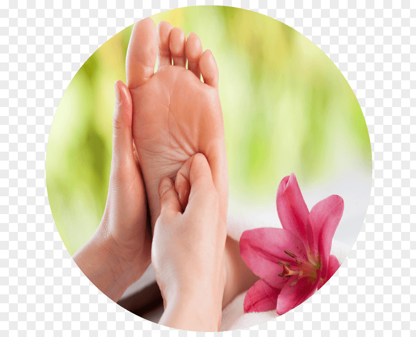 Nail Massage Alternative Health Services Reflexology Therapy PNG