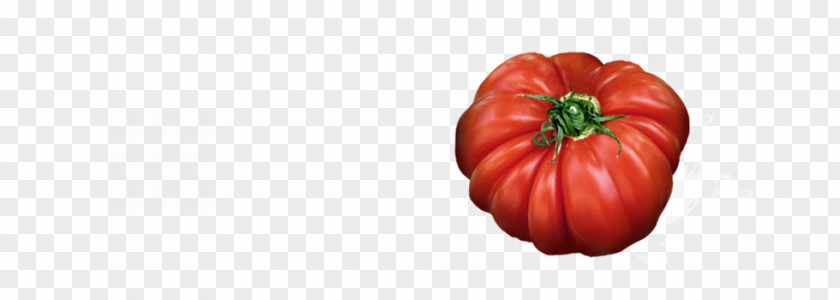 Tomato Picture Material Bell Pepper Paprika Winter Squash Chili PNG