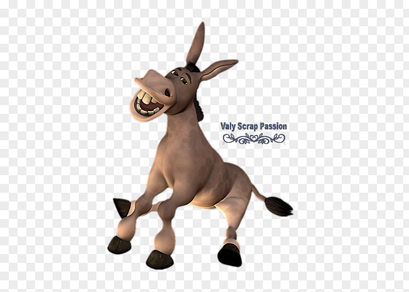 Donkey Drawing Aasi PNG