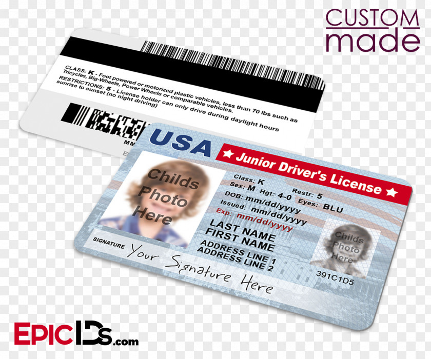 Driving License Korben Dallas Leeloo YouTube Costume PNG