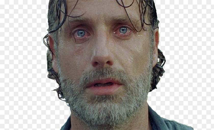 Rick Grimes Andrew Lincoln The Walking Dead San Diego Comic-Con Michonne PNG