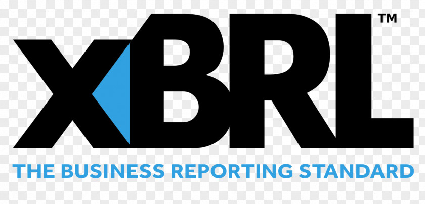 Business XBRL International Computer Software IXBRL Technical Standard PNG