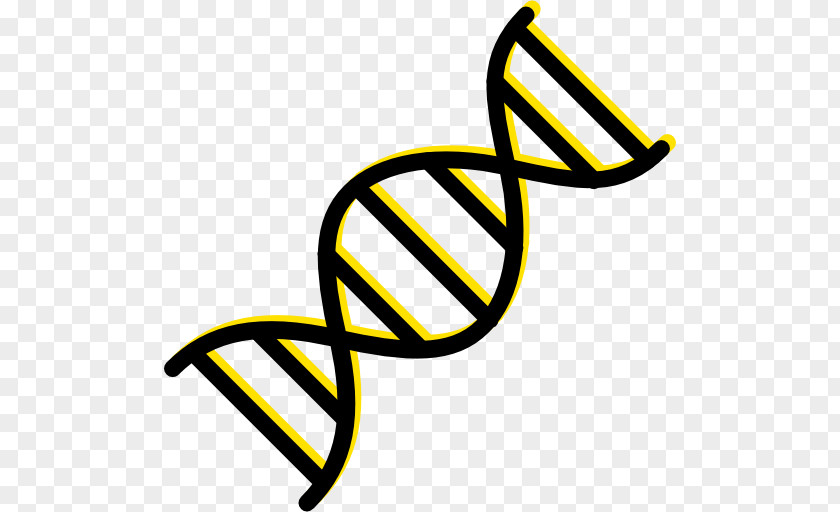 DNA Genetics Nucleic Acid Double Helix PNG