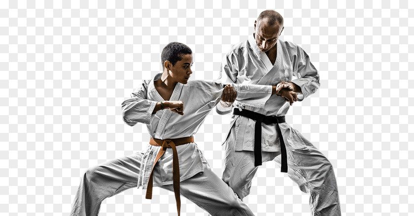 Karate Kenpō Martial Arts Jujutsu Self-defense PNG