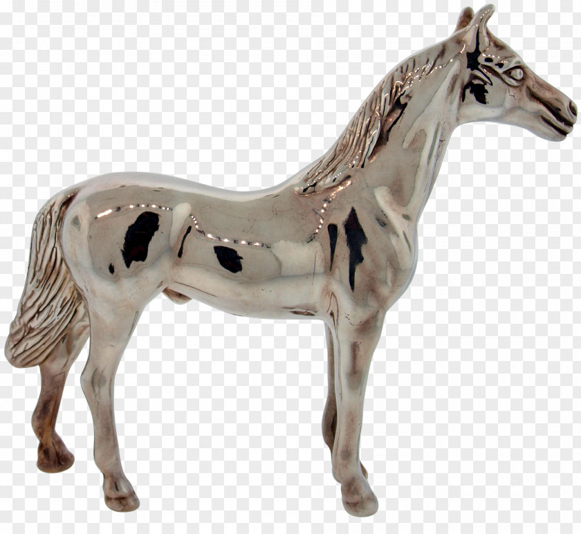 Mustang Silver Pony Mare Stallion PNG