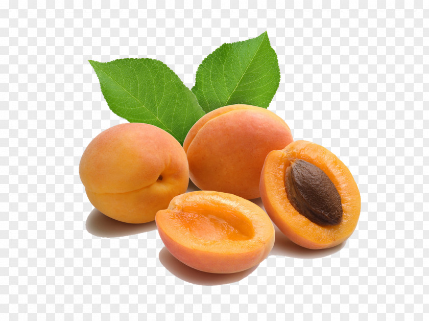 Summer Peach Nectarine Apricot Kernel Amygdalin Oil PNG