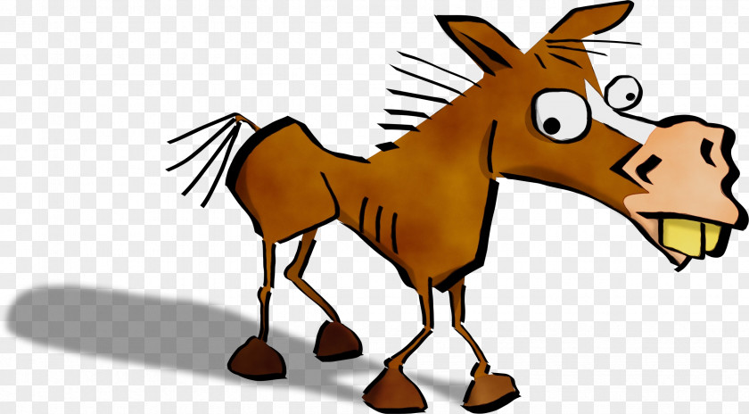 Tail Liver Donkey PNG