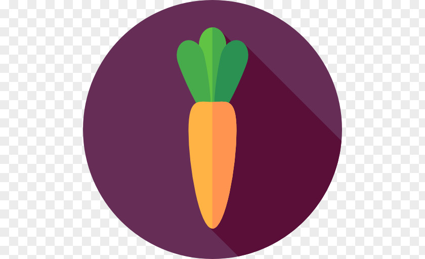 Zanahoria Fruit Clip Art PNG