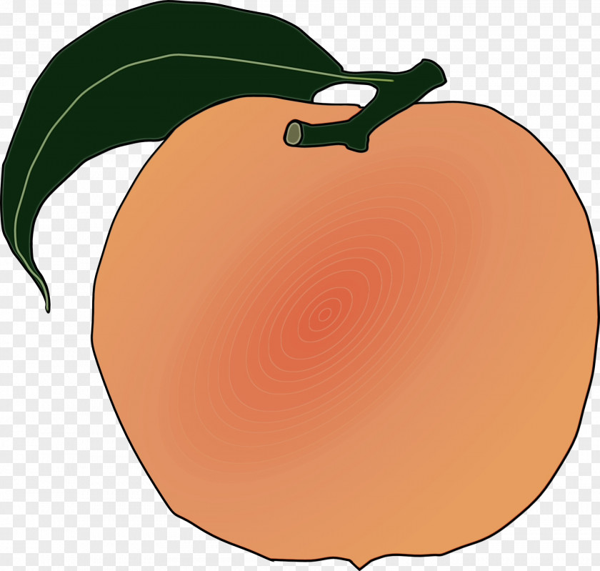 Apple Peach Computer PNG