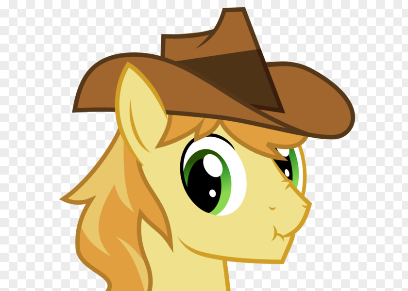 Cat Horse Cowboy Hat Pony PNG