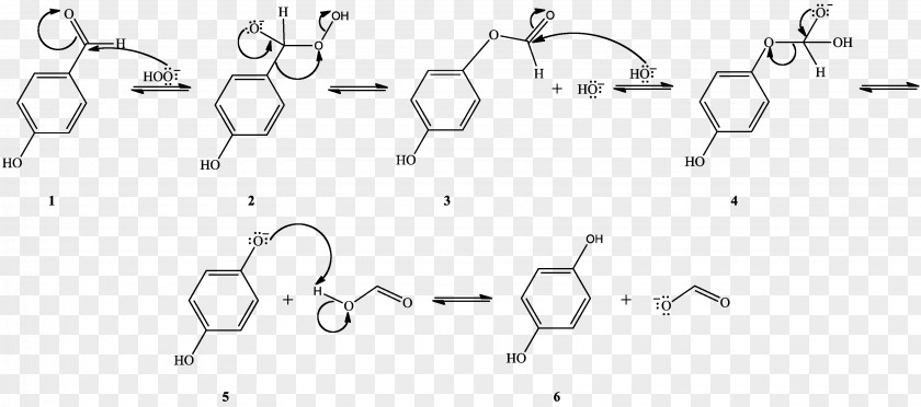 Dakin Oxidation Hydrogen Peroxide Redox Benzaldehyde PNG