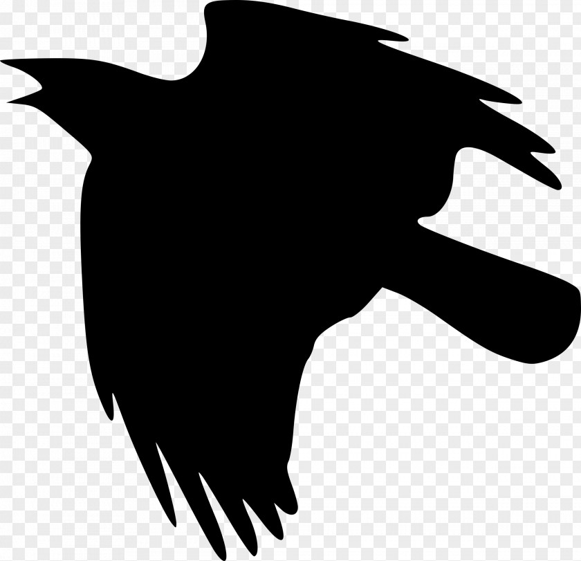 Flying Crows Clip Art PNG