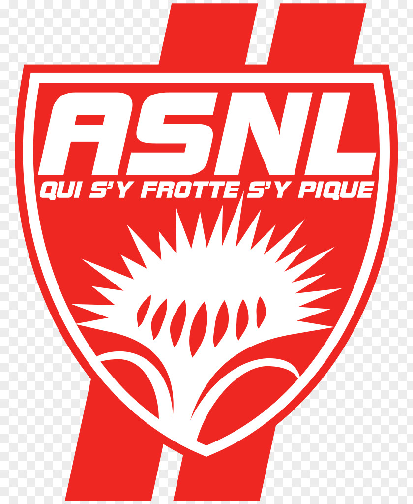France AS Nancy-Lorraine Under-19 Chamois Niortais F.C. Ligue 2 Coupe De La PNG