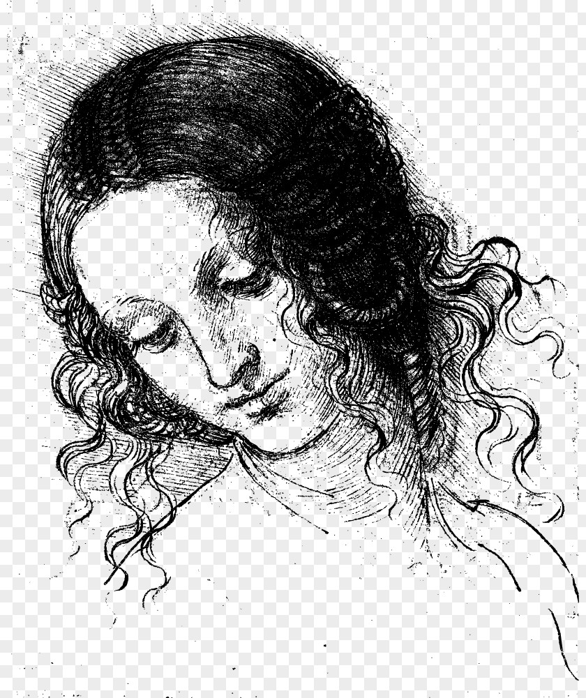 Goddess Face Head Of A Woman Lucan Portrait Leonardo Da Vinci La Belle Ferronnixe8re Man In Red Chalk Leda And The Swan PNG