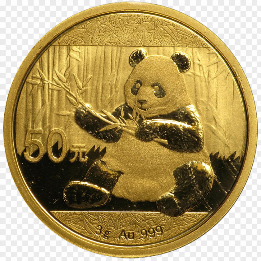 Gold Coins Giant Panda Chinese Bullion Coin PNG