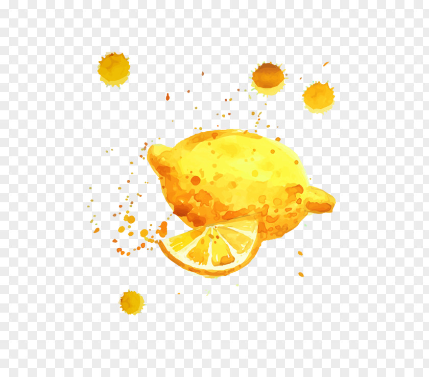 Lemon Lolnoob5 Orange Juice Cocktail Drink PNG