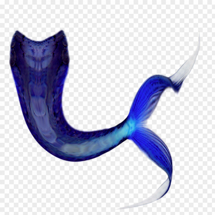 Mermaid Information Clip Art PNG