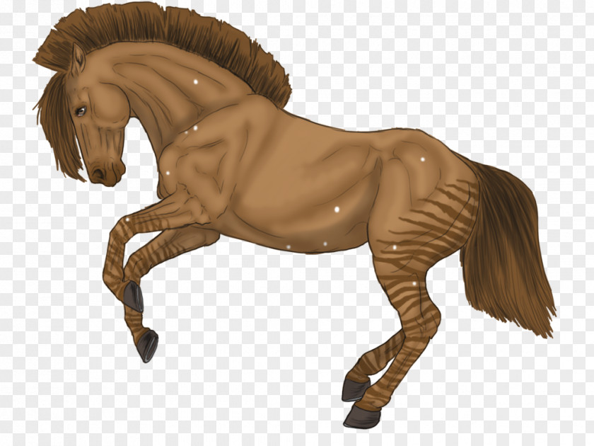 Mustang Stallion Mare Rein Quagga PNG
