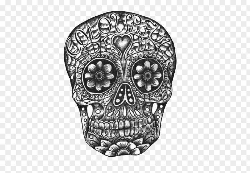 Skull Calavera Art Stencil PNG