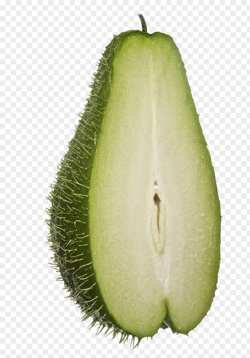 Half Of The Lap Gourd Chayote Melon Stock.xchng PNG