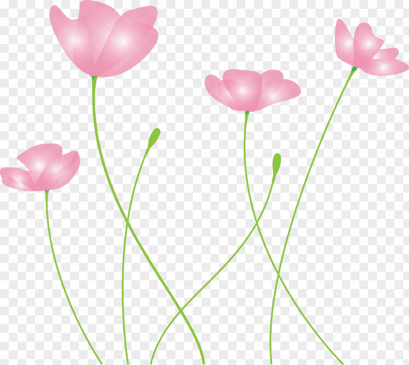 Poppy Flower PNG