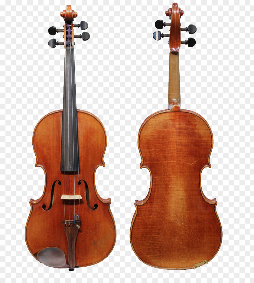 Violin Family String Instruments Stradivarius Cello PNG