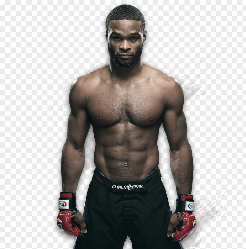 Mma Tyron Woodley UFC 192: Cormier Vs. Gustafsson 174: Johnson Bagautinov Dude Wipes Male PNG