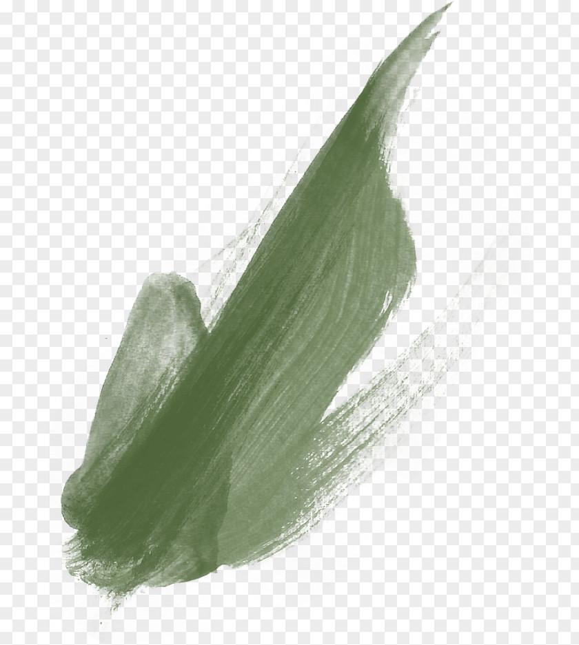 Paint Brushes Pigment Image PNG