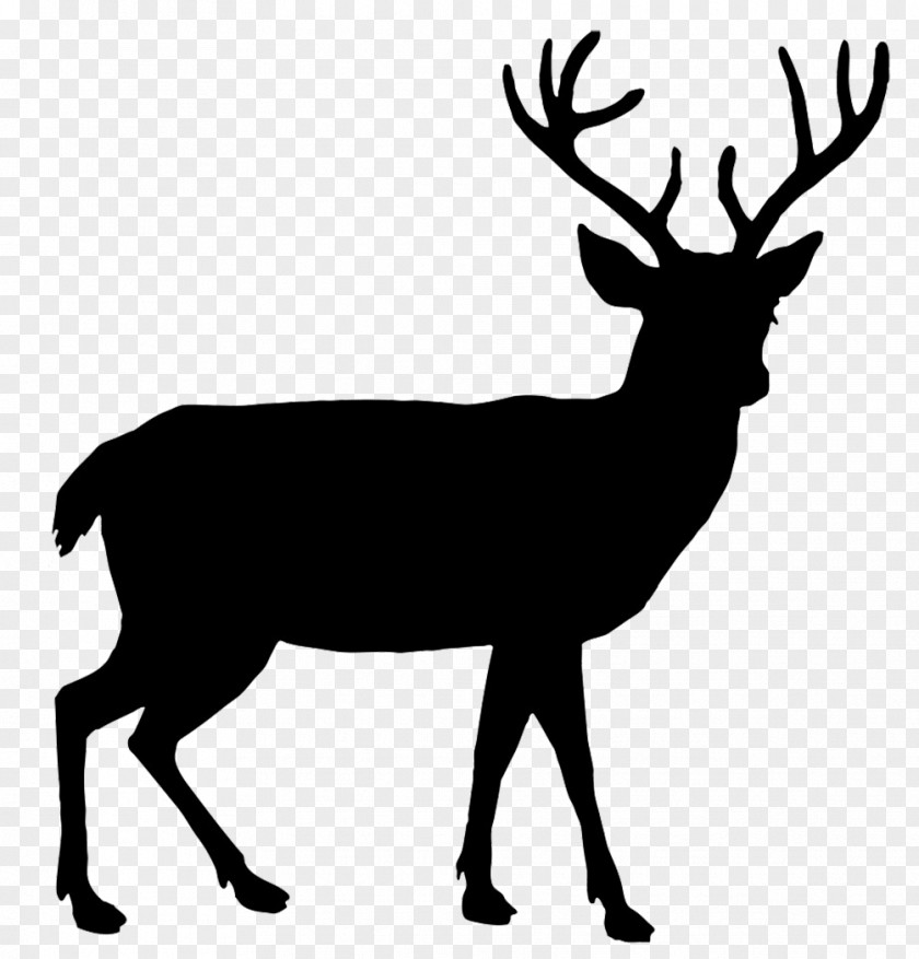 Reindeer Silhouette Cliparts White-tailed Deer Red Elk PNG