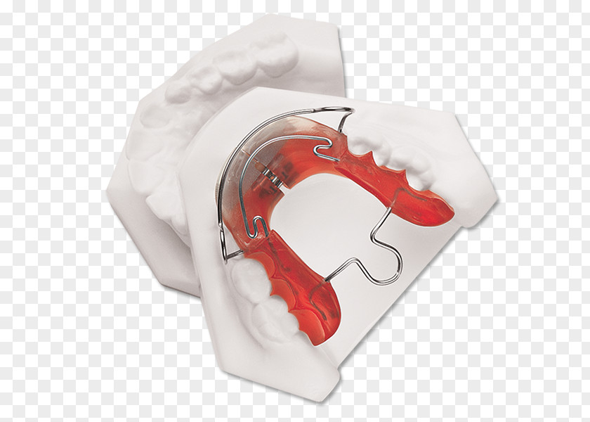 Bionator Mandible Orthodontics Tooth Jaw PNG