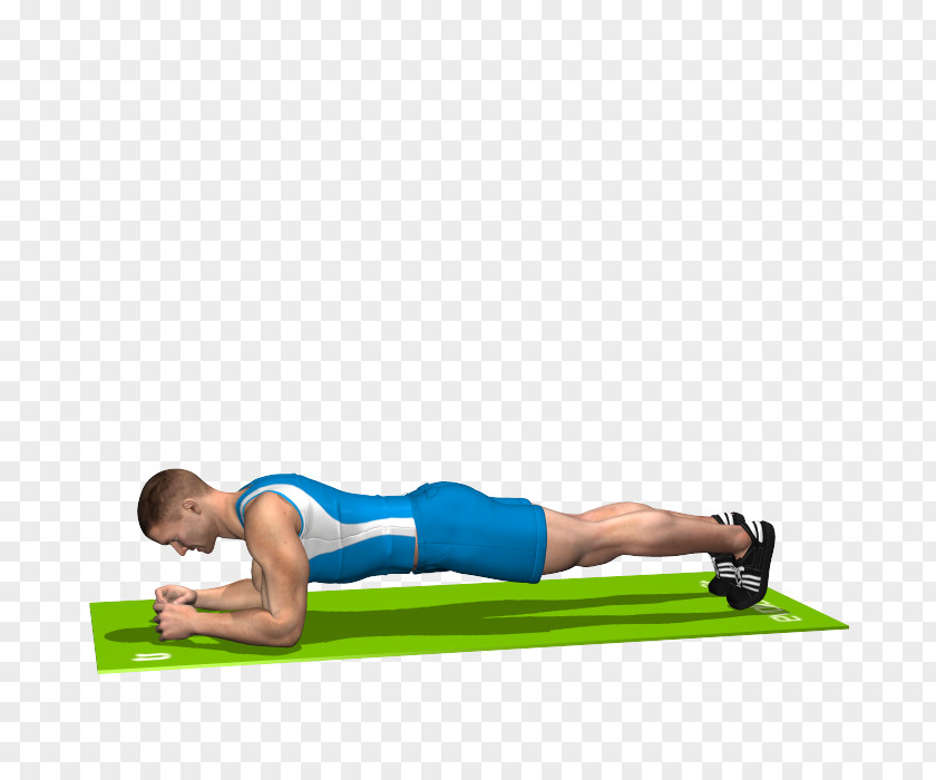 Plank Fitness Pilates Crunch Hip Rectus Abdominis Muscle PNG