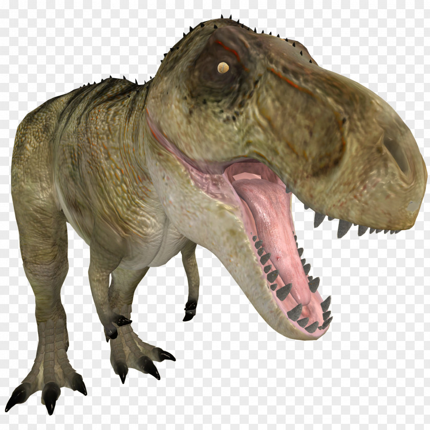 Tyrannosaurus Rex Allosaurus 3D Computer Graphics PNG