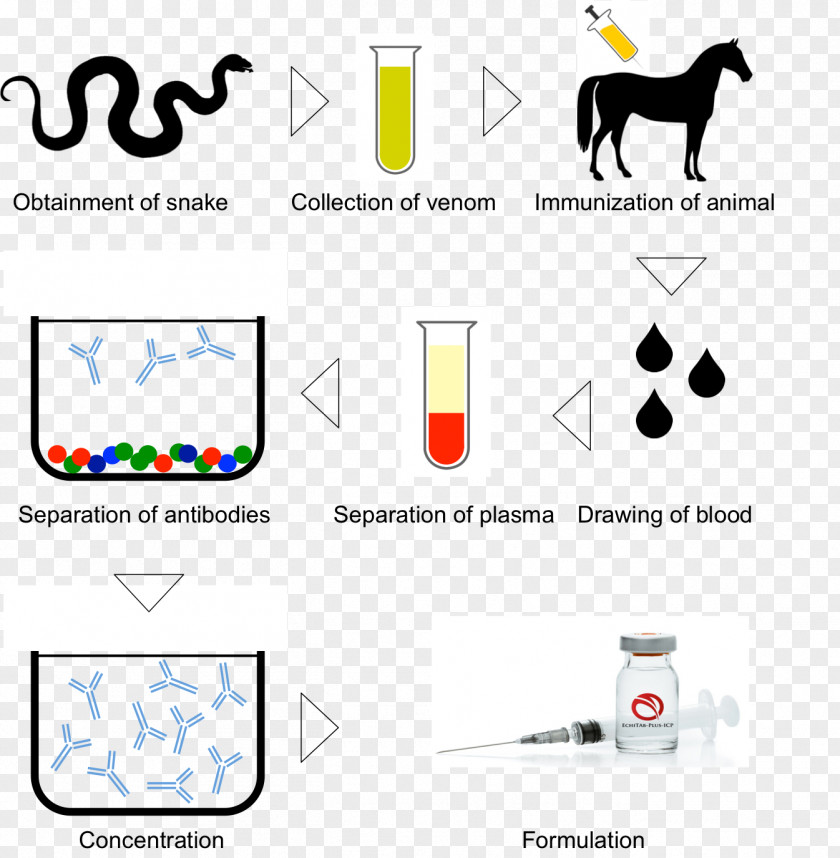 Venom Snake Antivenom Antibody PNG