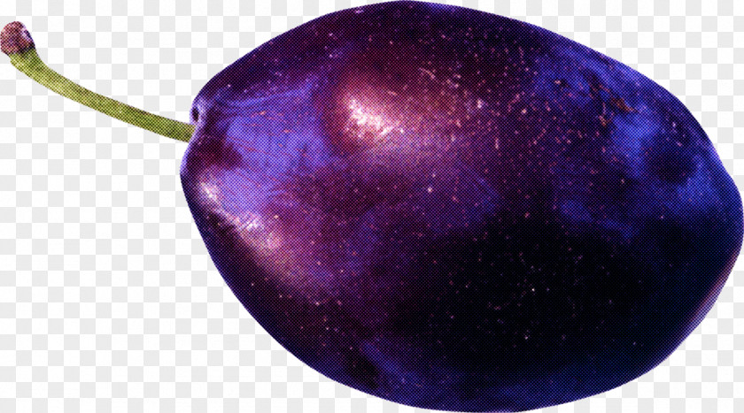 Violet Purple European Plum Plant PNG