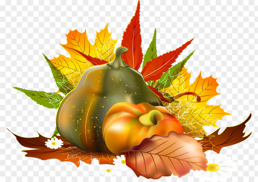 Autumn Border Clip Art PNG