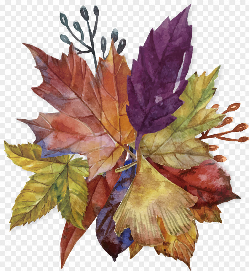 Floral Decoration Autumn Leaf Color Painting Work Of Art PNG