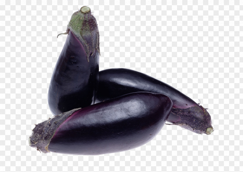 Purple Eggplant Vegetable Clip Art PNG