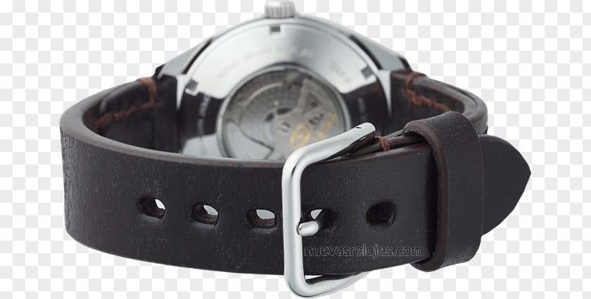 Reserva Orient Watch Strap Clock Clothing Accessories PNG