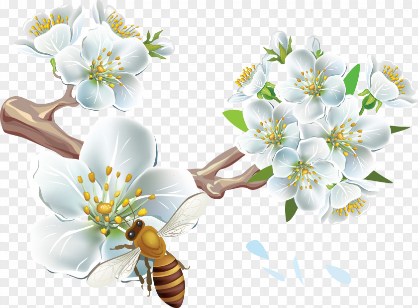 Spring Bee Cherry Blossom Flower PNG