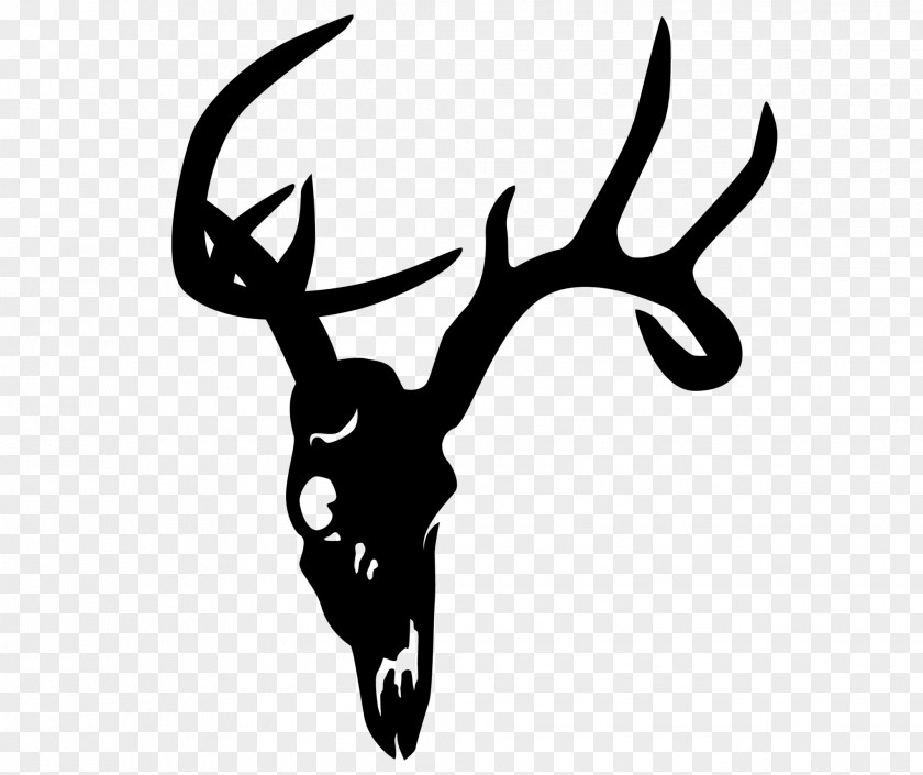 Deer Head White-tailed Elk Skull Clip Art PNG